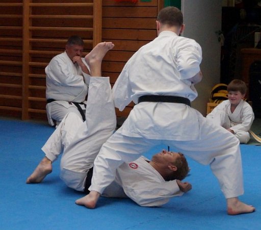 DSC03683 (Large).JPG